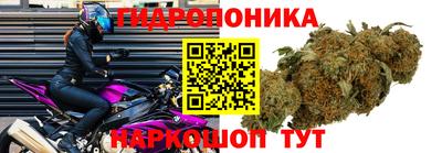 дмт Бузулук