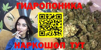 дмт Бузулук