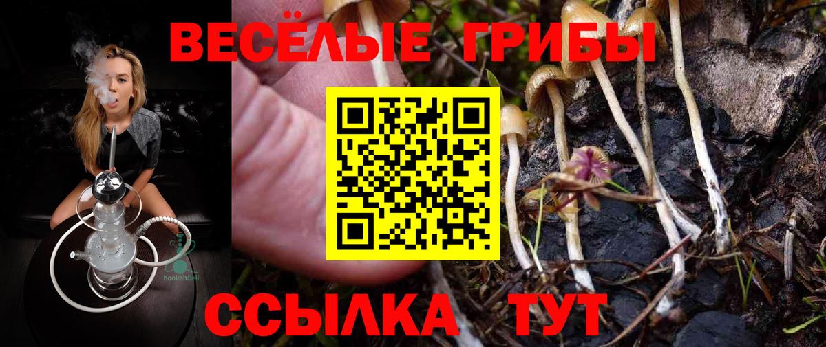 Псилоцибиновые грибы Cubensis Нерюнгри