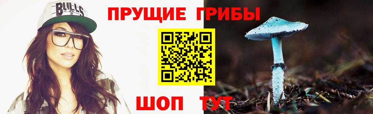 Галлюциногенные грибы Psilocybe  Вход с VPN  Псилоцибиновые грибы ЛСД  Нерюнгри 